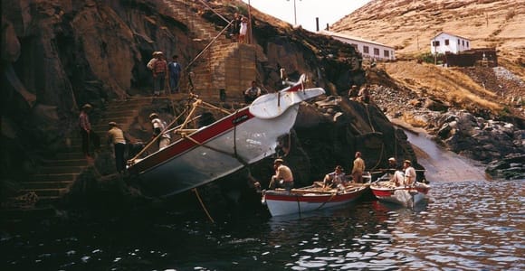 Caniçal: Madeira Whale Museum Entry Ticket and Private Tour