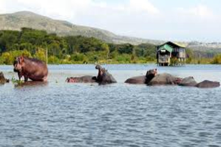 Nairobi: Nationaal Park Hell&#039;s Gate en Lake Naivasha Dag ...