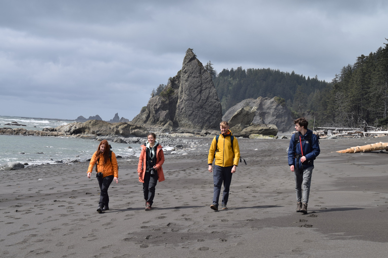 Olympic National Park: Hoh Rain Forest and Rialto Beach Tour