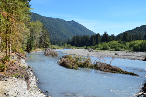Olympic National Park: Hoh Rain Forest and Rialto Beach Tour