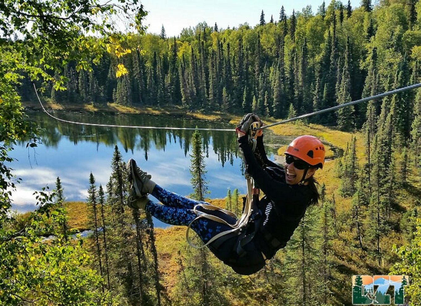 Talkeetna: Denali zipline-ture