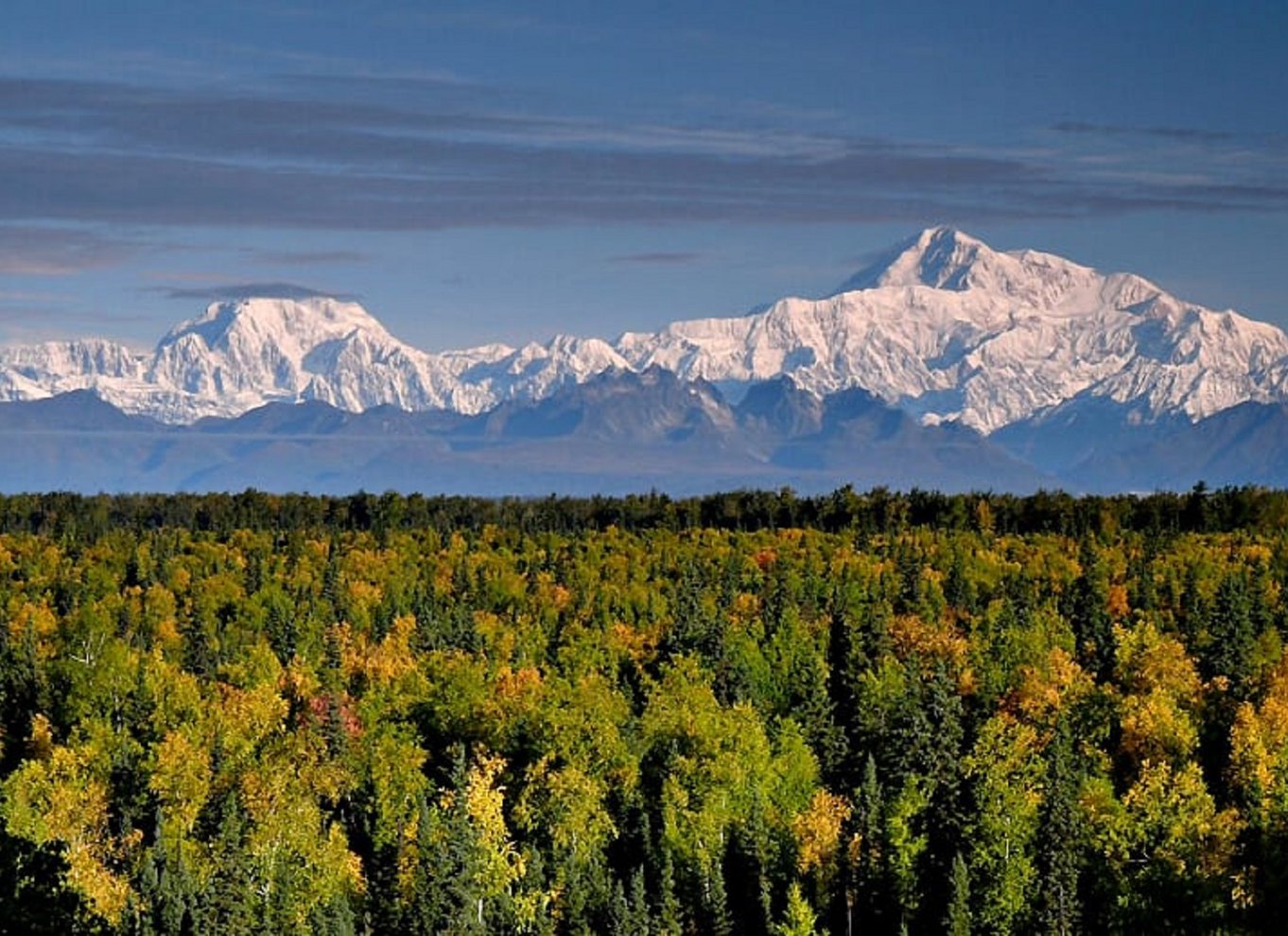 Talkeetna: Denali zipline-ture