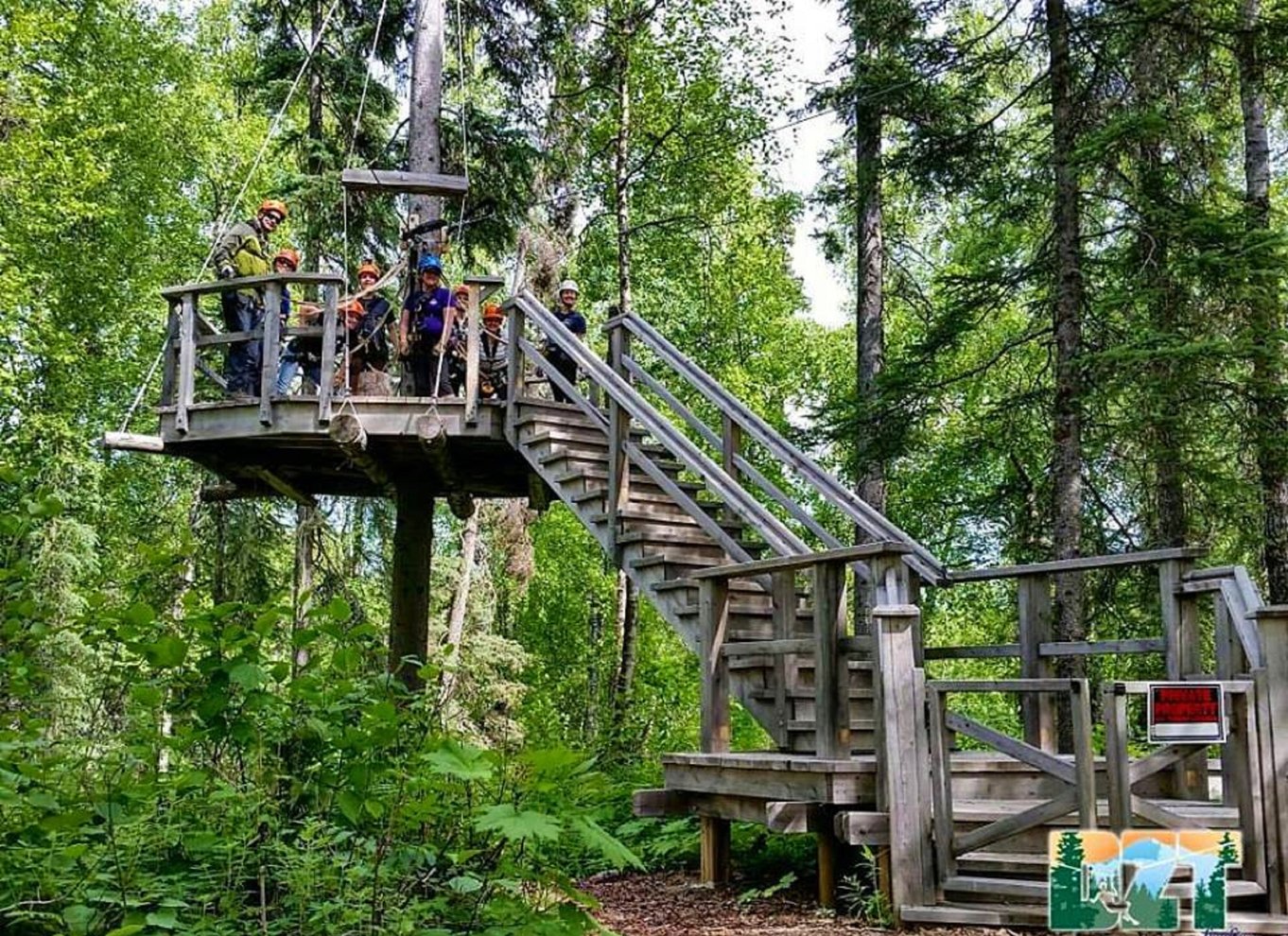 Talkeetna: Denali zipline-ture