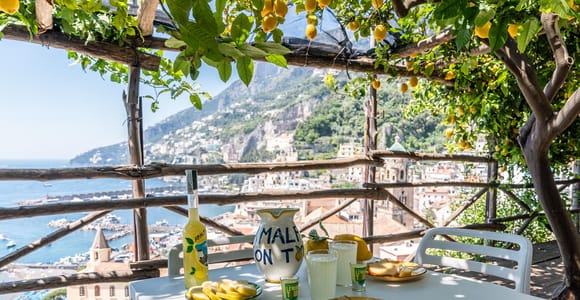 Zitronen & atemberaubende Ausblicke: Tour durch die monumentalen Gärten von Amalfi