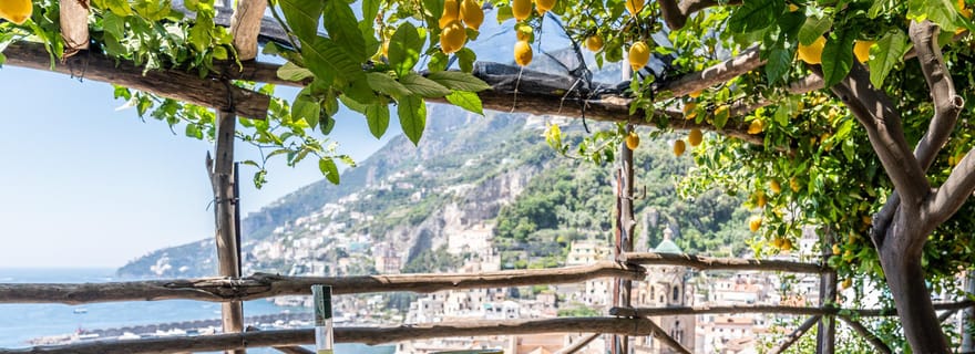 Citrons et vues imprenables : visite des jardins monumentaux d'Amalfi