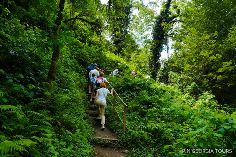Batumi: Mtirala National Park Guided Hiking & Treetop Tour Mtirala National Park Private Tour