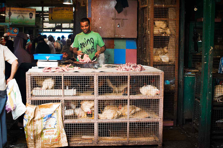 Mumbai: Ervaar lokaal vervoer, bezienswaardigheden en lunchMumbai: lokale vervoerservaring van een halve dag