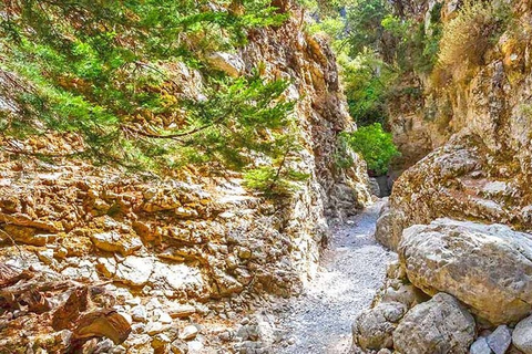 Chania: tour de un día por el desfiladero de Imbros y el mar de LibiaImbros de la zona de Chania