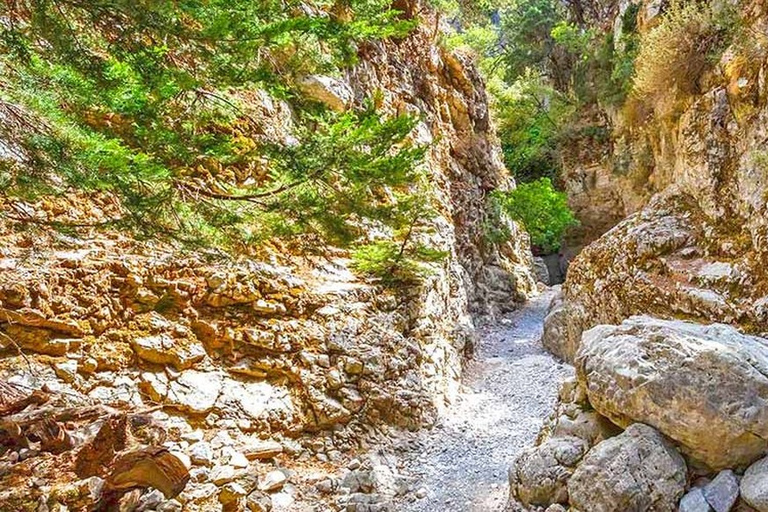 From Rethymno: Imbros Gorge and Libyan Sea Day Tour Pickup from Rethymno