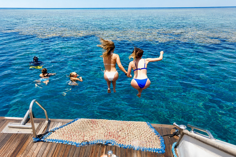 Marsa Alam: Marsa Mubarak Snorkeling or Diving Trip w Lunch Marsa Mubarak With Two Guided Certified Dives