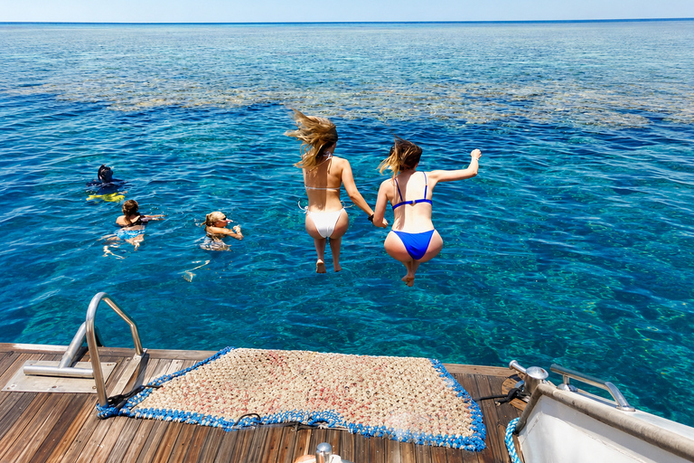 Marsa Alam: Marsa Mubarak Snorkeling or Diving Trip w Lunch Marsa Mubarak With Two Guided Certified Dives