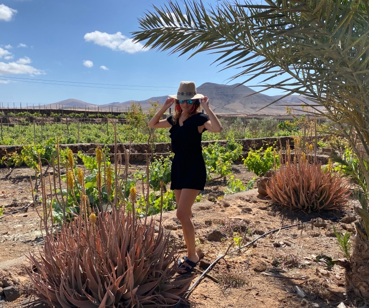 Winery tour and Chocolate Tasting in Fuerteventura