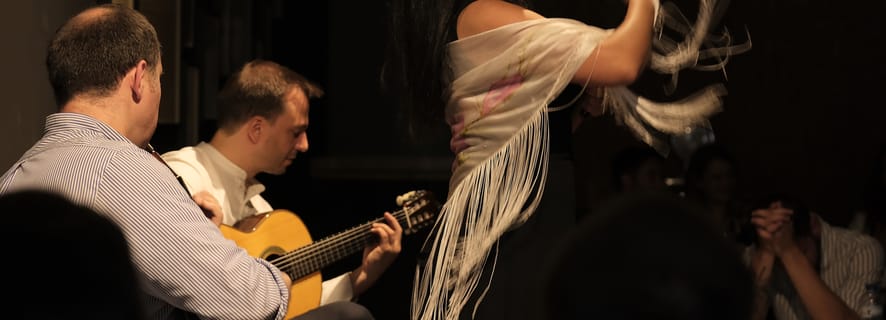 Porto: Intimate Fado Concert Ticket with a Glass of Wine