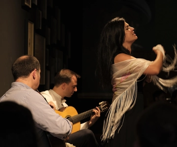 Porto: Intimate Fado Concert Ticket with a Glass of Wine