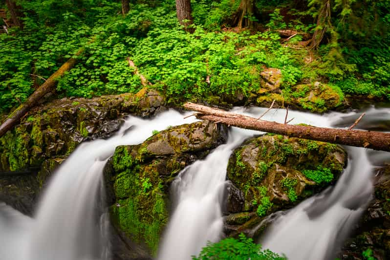 Port Angeles: Olympic National Park Driving Audio Tour | GetYourGuide