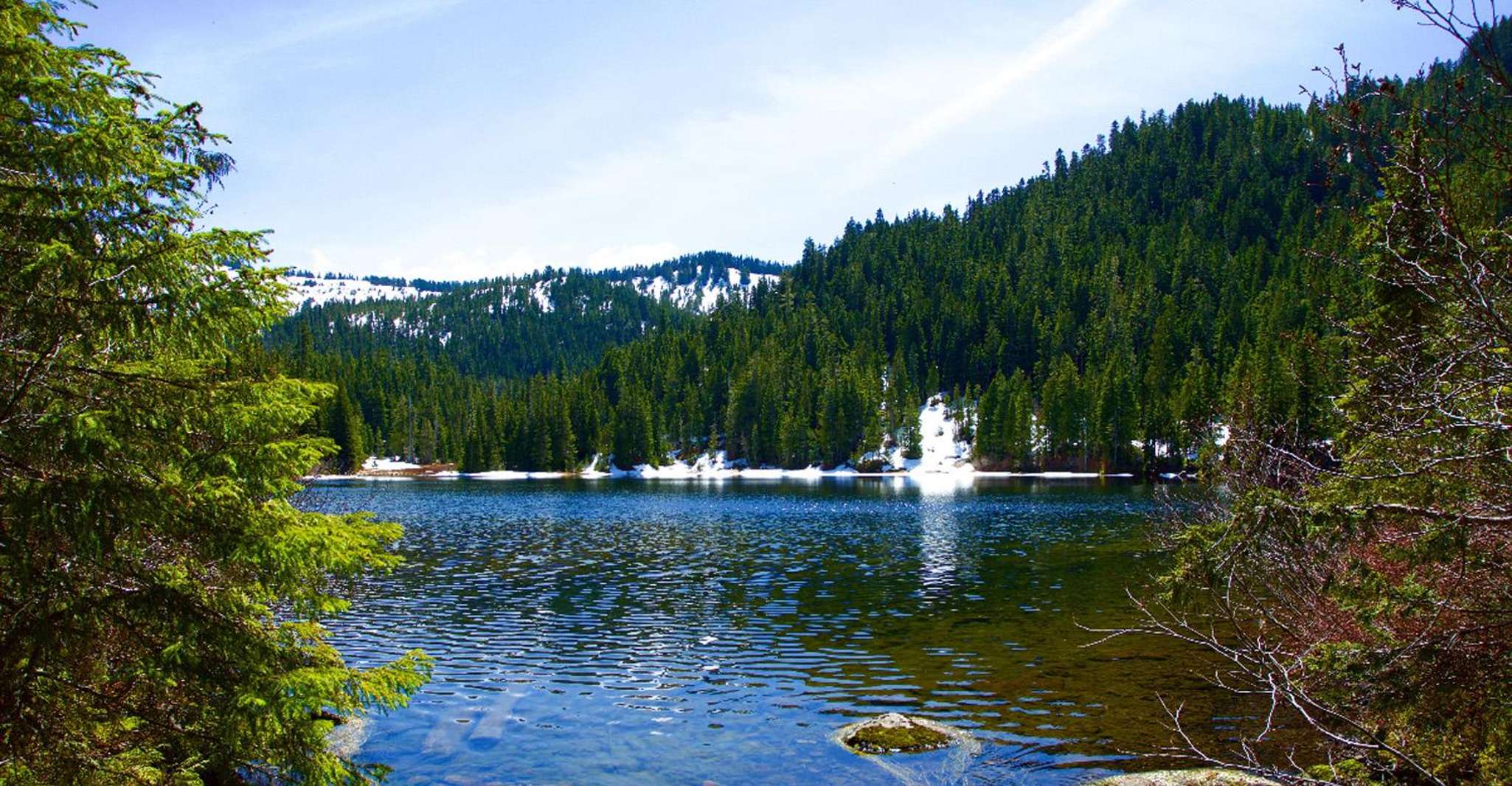 Lake Angeles Trail, Olympic National Park, Port Angeles, WA : hiking