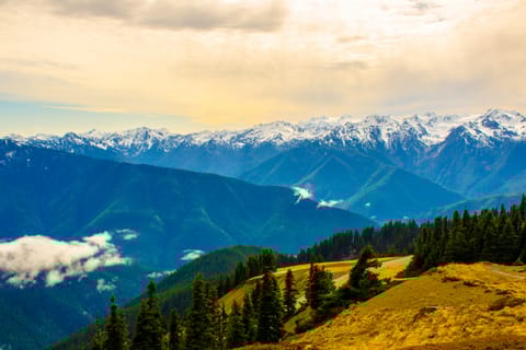 Port Angeles: Olympic National Park Driving Audio Tour