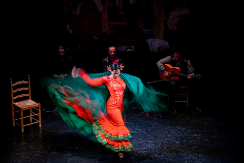 Sevilla: Espectáculo flamenco en vivo en el "Teatro Flamenco Triana"