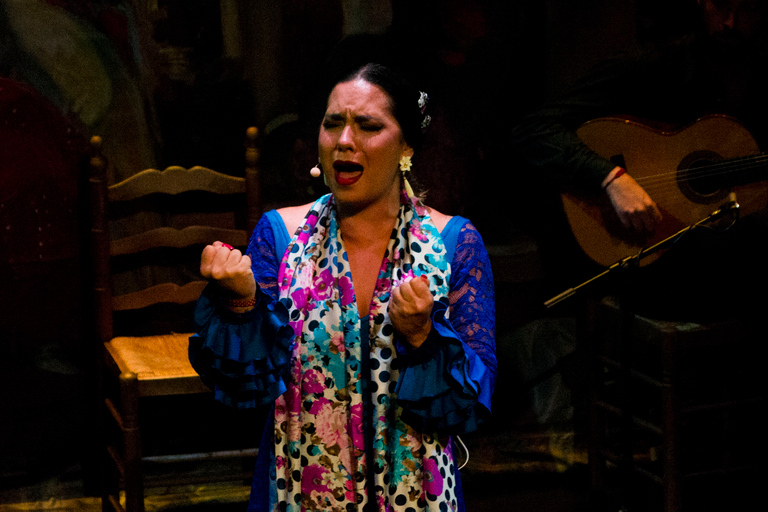 Sevilla: Live Flamenco Show på &quot;Teatro Flamenco Triana&quot;Sevilla: Flamenco-föreställning på &quot;Teatro Flamenco Triana&quot;