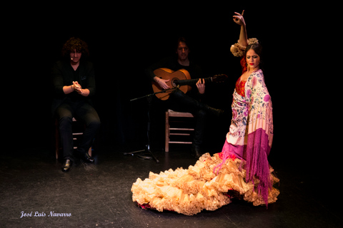 Séville : Spectacle de flamenco en direct au "Teatro Flamenco Triana".