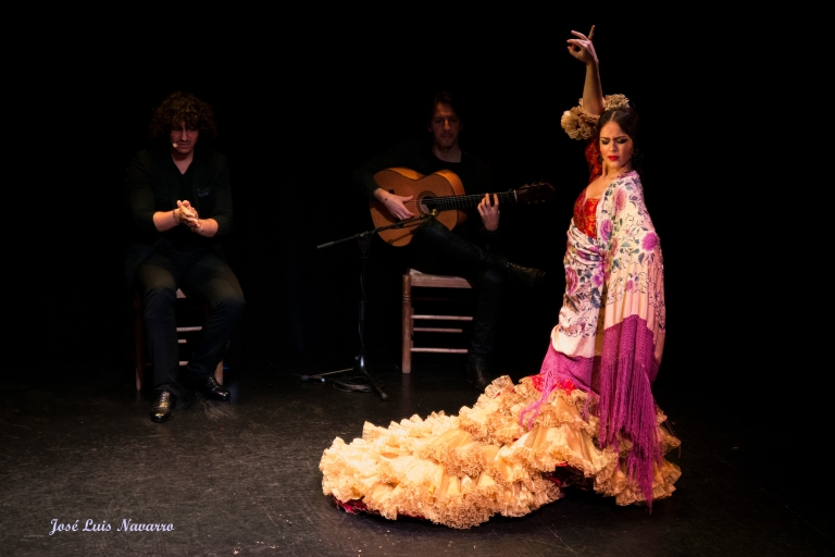 Sevilla: Espectáculo flamenco en vivo en el "Teatro Flamenco Triana"