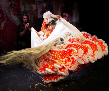 Seville: Live Flamenco Show at "Teatro Flamenco Triana"