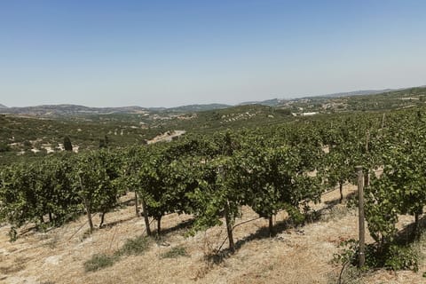 Heraklion Wine Country Tour