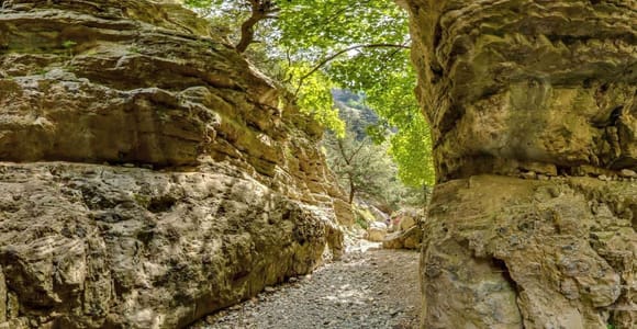 From Rethymno: Imbros Gorge & Libyan Guided Sea Tour