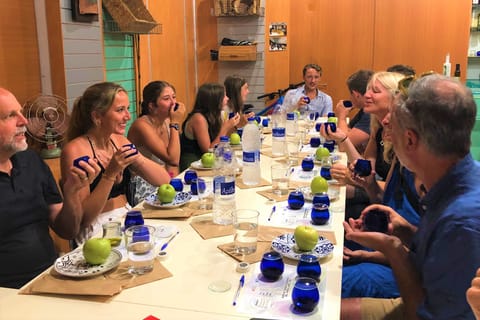 Olive Oil Tour & Tasting in Kalamata, Messinia, Greece