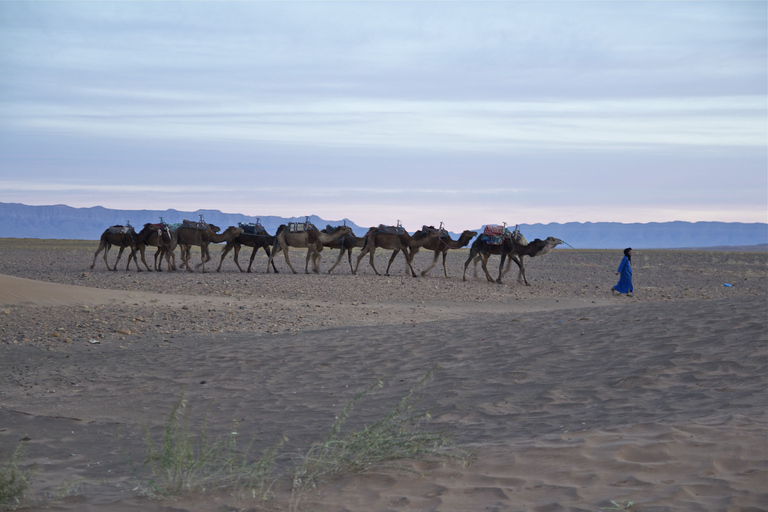 De Marrakech: Acampamento de luxo no deserto de Zagora de 2 diasDe Marrakech: acampamento de 2 dias no deserto de Zagora