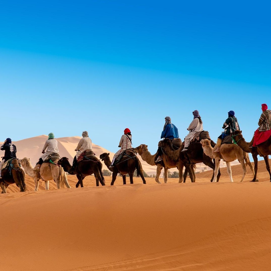 Au départ de Zagora : Circuit de 2 jours dans le désert de l'Erg Chegaga - dromadaire
