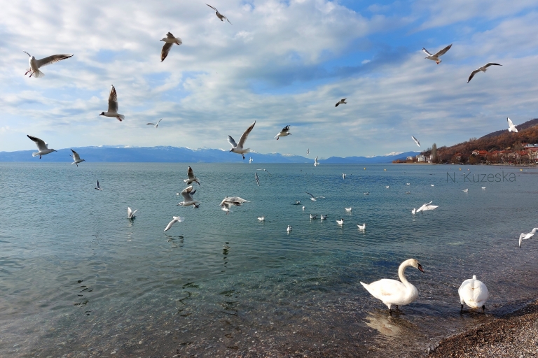 De Skopje: visite privée d'une journée d'Ohrid et de Saint Naum