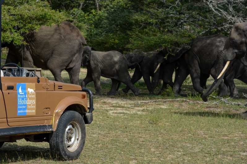 Au départ de Zanzibar : safari d'une journée dans la réserve de Selous avec vols