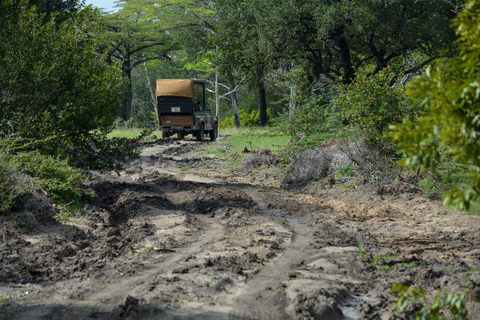 From Zanzibar: Nyerere National Park Day Safari with Flights