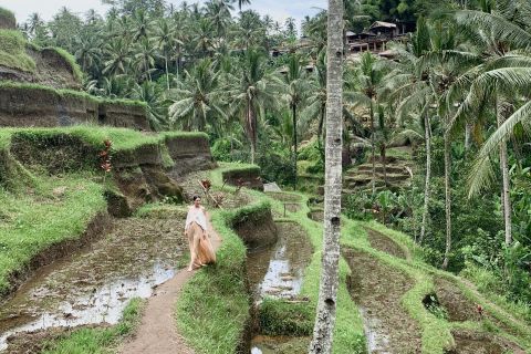 Best of Ubud : All Inslusive Tour with Optional Lunch