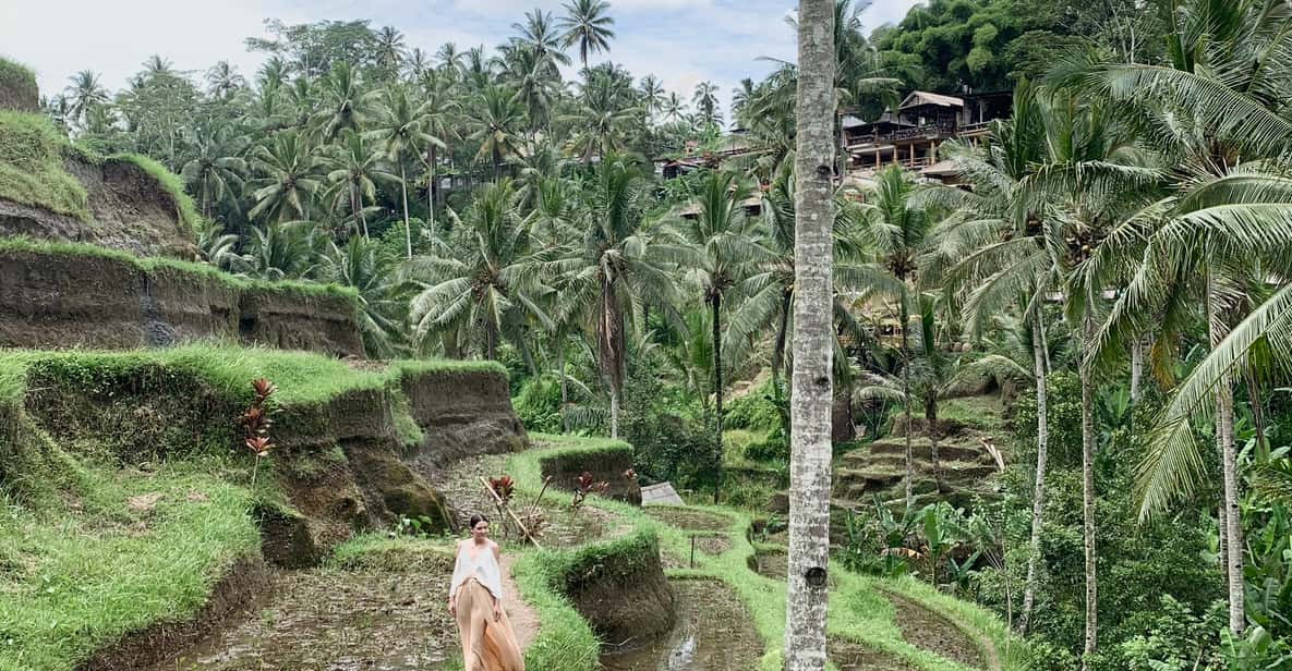 Ubud All Inclusive Tour With Optional Lunch Getyourguide