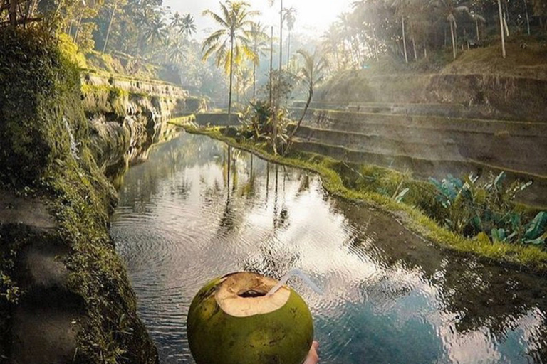 Le meilleur d'Ubud : circuit insulaire avec déjeuner facultatifVisite privée Premium