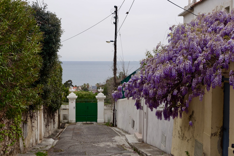 Marseille: begeleide wandeltocht door prachtige wijkenMarseille: begeleide wandeling door lokale wijken