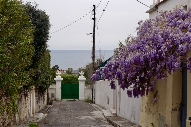 Marseille: Magnificent neighborhoods Guided Walking Tour Marseille: Local Neighborhoods Guided Walking Tour