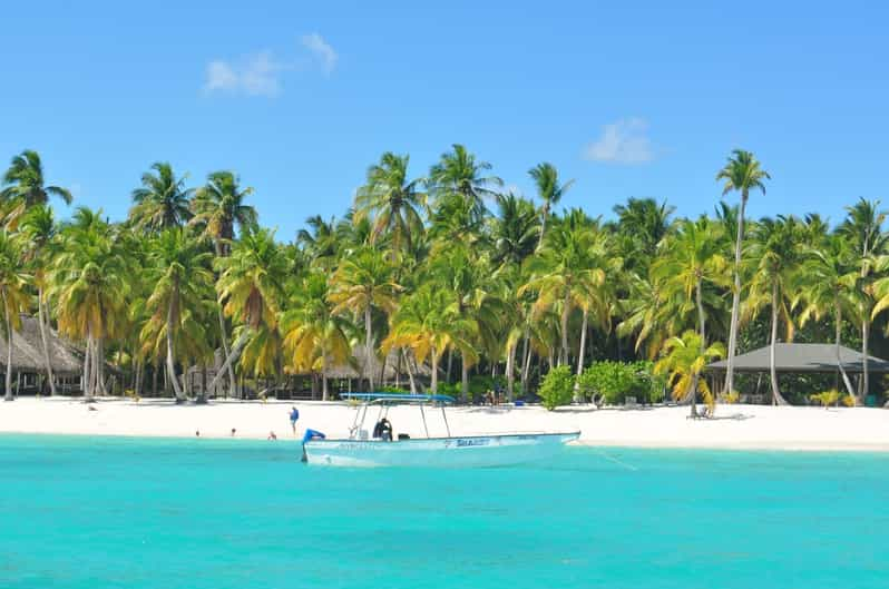 Punta Cana Saona Island Day Trip GetYourGuide