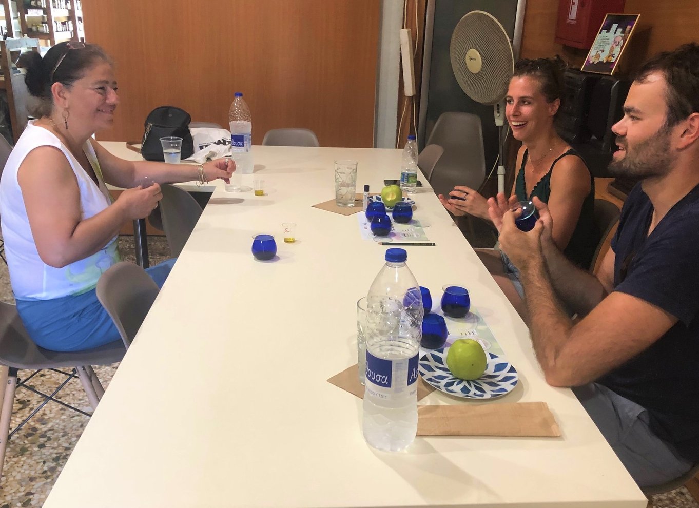 Kalamata: Madtur og olivenoliesmagning med let frokost