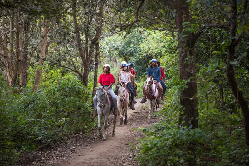 Liberia Ziplining, River Tubing, and Horseback Riding Trip GetYourGuide