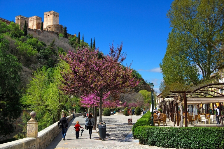 Granada: Visita de 2 horas al Albaicín y Sacromonte PremiumVisita en español