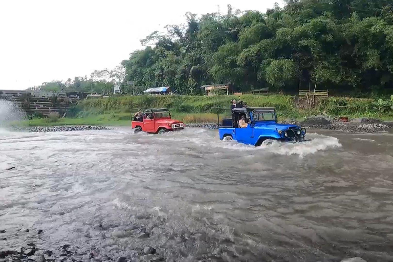 Yogyakarta: Goa Jomblang, Gua Pindul, & Merapi Tour