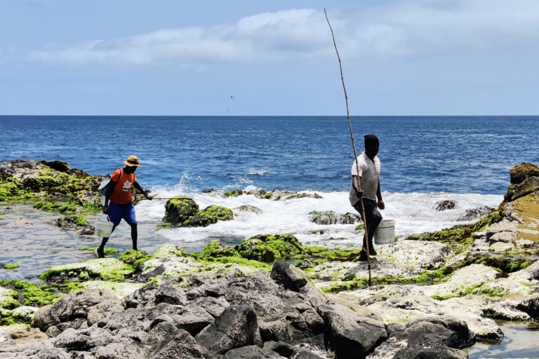 Sal: eilandbelevingstour met een gecertificeerde lokale gidsPrivé rondleiding