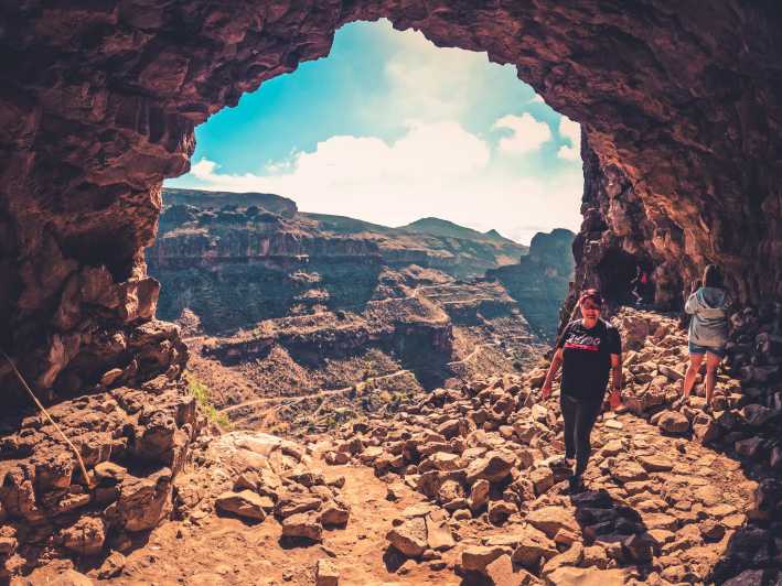 Canaria: Red dagstur med smagning | GetYourGuide