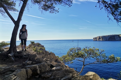 Vanuit Marseille: begeleide wandeling door het nationaal park Calanques