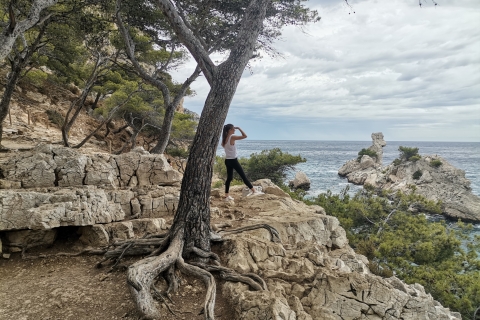 Z Marsylii: wycieczka z przewodnikiem po Parku Narodowym Calanques
