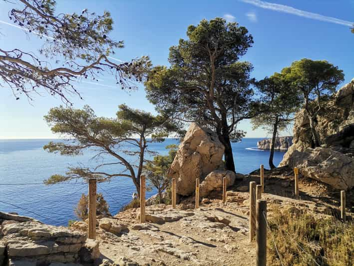 Vanuit Marseille Wandeling Met Gids Door Het Nationaal Park Van De Calanques Getyourguide