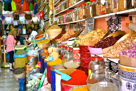 De Taghazout ou Agadir: Passeio guiado de um dia em MarrakechTour de Agadir